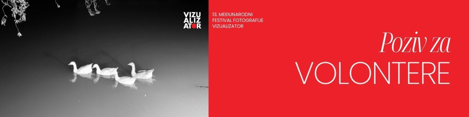 vizualizator volonteri
